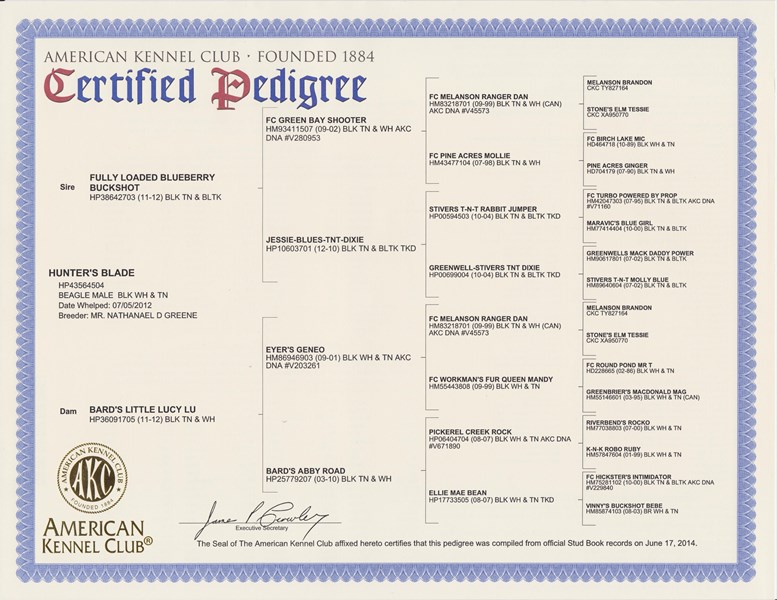 Free Dog Pedigree Chart