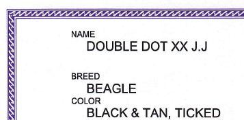beagle pedigree